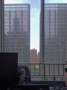 昨天聚完餐已经凌晨了-猫匿