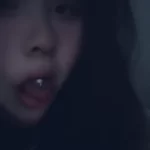 日你妈-猫匿