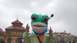 今天的碎片-猫匿