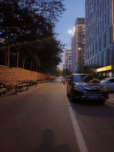 昨天聚完餐已经凌晨了-猫匿