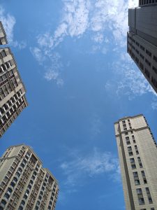 好喜欢这个天气-猫匿