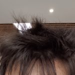 有趣的发型-猫匿