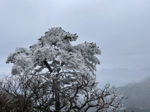 现在才想起来去年和朋友们一起去天堂寨的时候一个人都没看见，是那时候人太少了还是太冷了，虽然不是很热闹但是风景是真好看-猫匿
