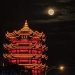 千万不要长期熬夜。

熬夜似乎成为了当代年轻人的代名词。
如今每天都要面对各种各样的压力，也只有黑夜才是属于自己的时间。
但是我们在享受这样浅显的快乐同时，也应该考虑到熬夜所给我们带来的更多的坏处。

长期熬夜会让自身的免疫力下降，从而引发更多的疾病。
熬夜会给心脑血管带来更大的压力，所以现在的心脑血管疾病才会越来越年轻化，很大一部分原因都是因为熬夜带来的。
同时也会让自己变得无比疲劳，第二天无论工作还是上学都会格外没精力。
如此循环下去，身体已经形成了亚健康模式，各种疾病便会趁人之危，从而造成不可逆转的后果。

所以千万不要长期熬夜，这是透支我们生命的最关键因素。
如果让身体长期如此高负荷的去运转的话，总有一天会爆发，到那个时候再后悔的话，可能一切为之过晚。
希望每一个人都能够知晓熬夜的危害，早睡早起才能有助于身心健康！#青春许愿季#-猫匿