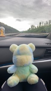 今天跟两个同事去找外地的一个同事一起吃饭，他们仨喝酒，我开车。

快吃完的时候，有一个人的对象来接他回家，我们三个单身狗属实是羡慕了…-猫匿