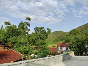 老家的风景超级治愈-猫匿