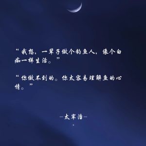 郁白的每日小记-猫匿