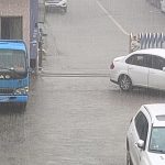 又是下雨天啊，好舒服，好惬意-猫匿