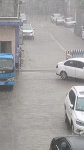 又是下雨天啊，好舒服，好惬意-猫匿