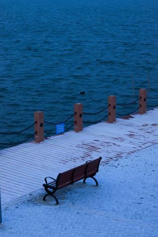 山东滨州·中海公园-猫匿