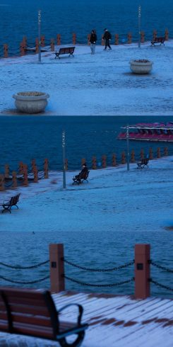 山东滨州·中海公园-猫匿