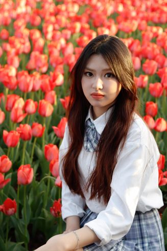 补一个周末-猫匿