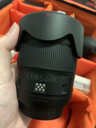 新买的镜头-猫匿