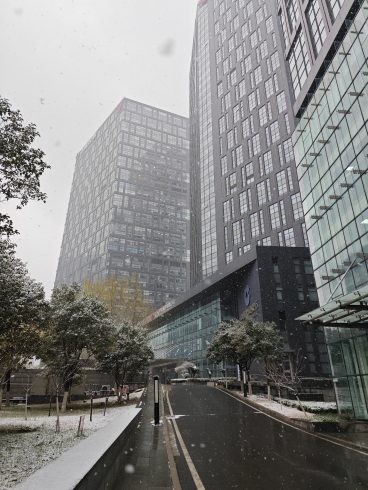 济南下雪了-猫匿