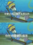 分享几句正能量的话-猫匿