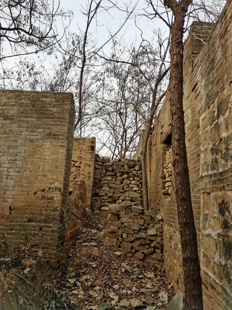 20250130175307909-IMG_20241224_155835