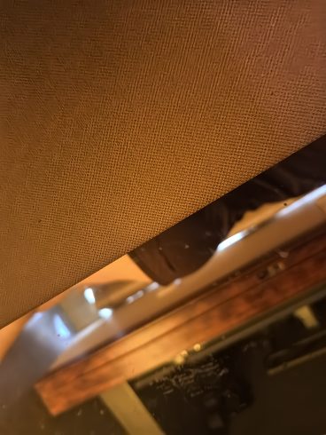 碰到憨憨运营-猫匿