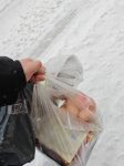 济南下雪啦-猫匿