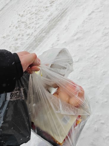 济南下雪啦-猫匿