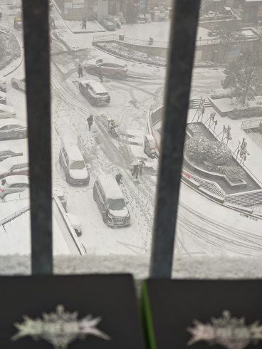 济南下雪啦-猫匿