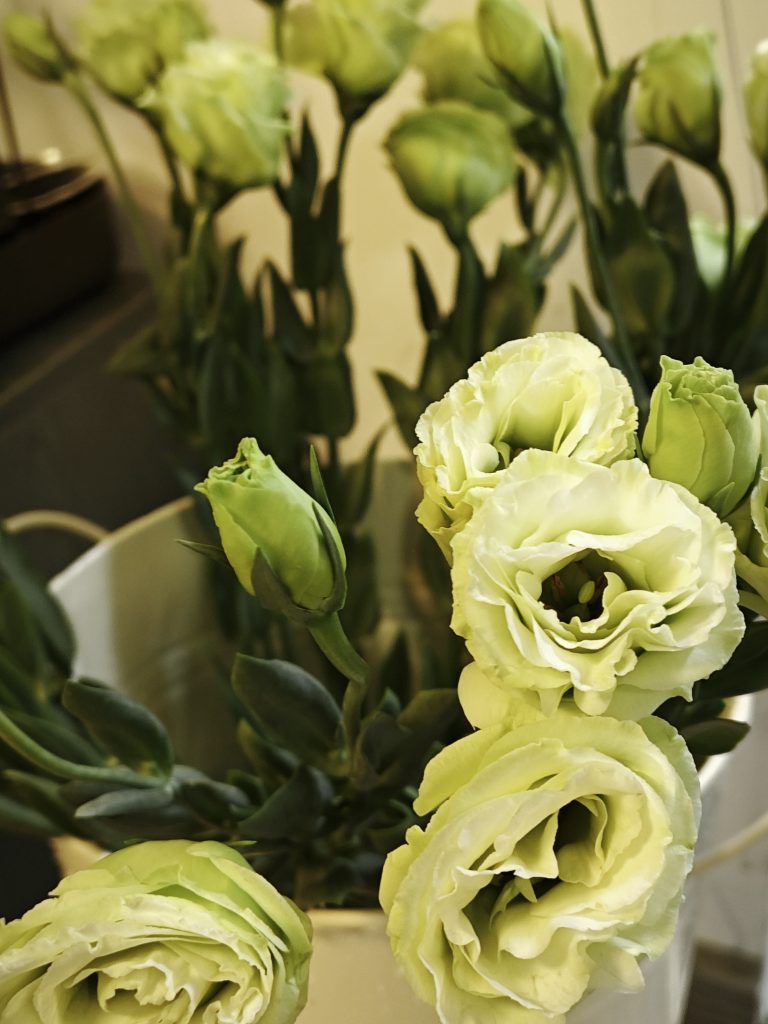 20250320225931887-1000035166