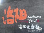 五一洛阳-猫匿