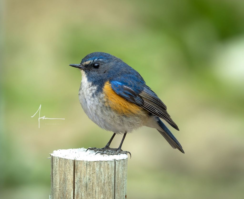 20250526121351198-1000044160