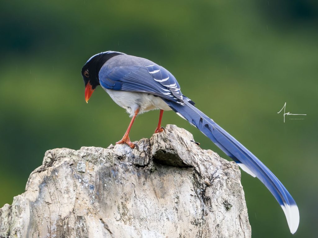 20250526121351865-1000044159