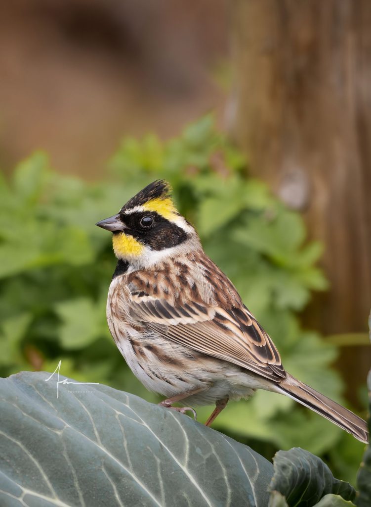 20250526121354347-1000044162