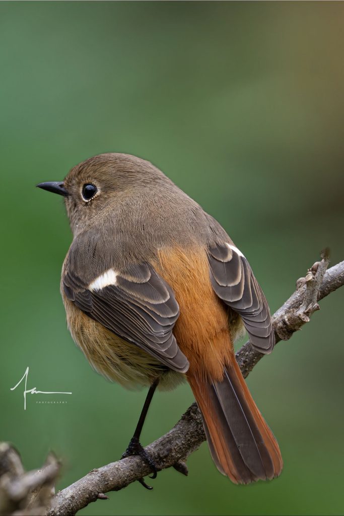 20250526121354362-1000044152