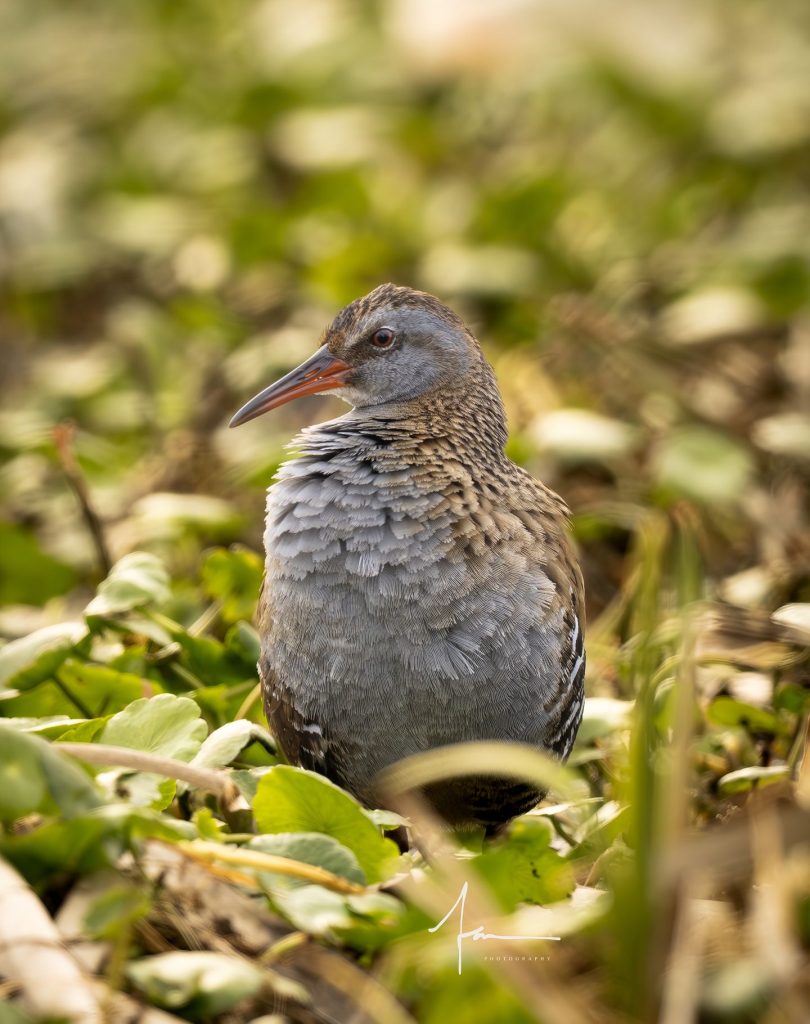 20250526121356749-1000044153