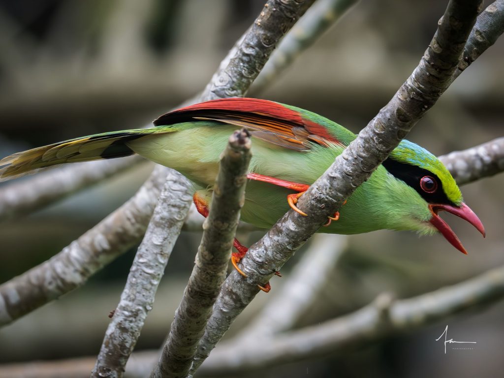 20250526121357204-1000044156