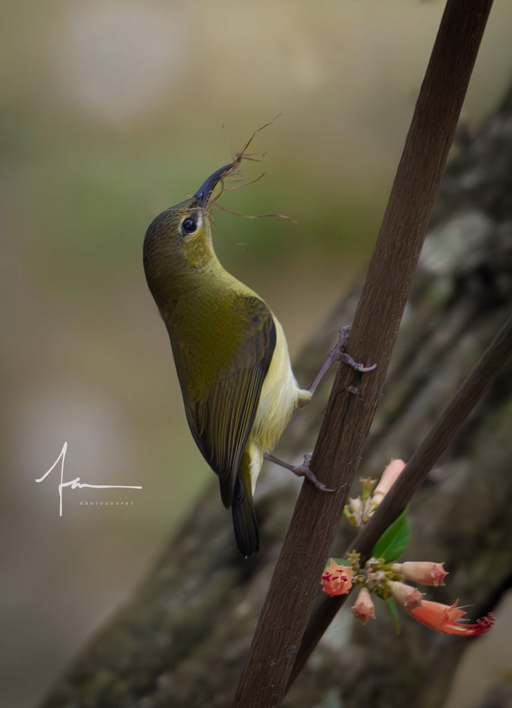 20250526121357414-1000044154