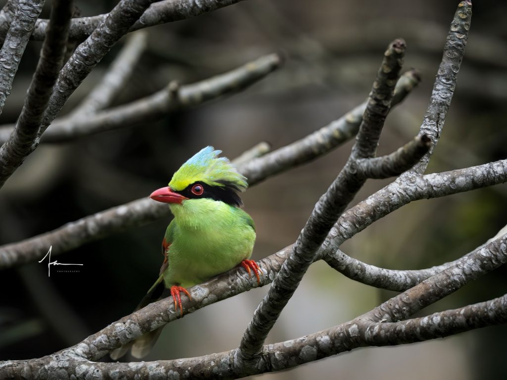 20250526121359589-1000044157