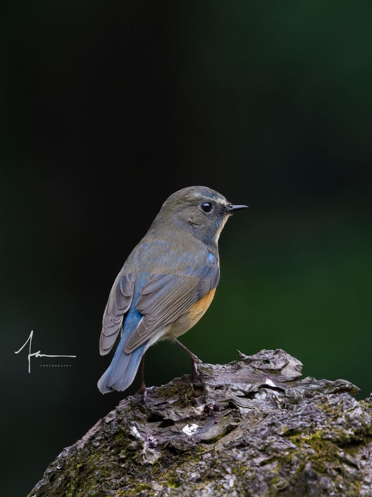 20250526121401105-1000044150