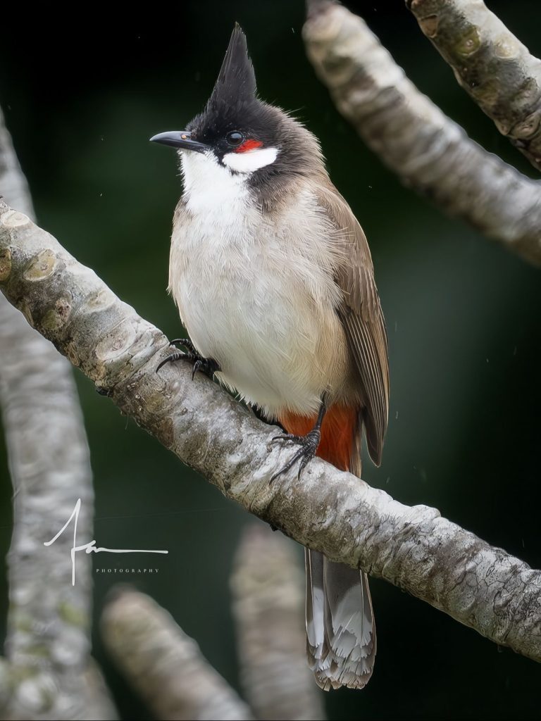 20250526121401186-1000044149