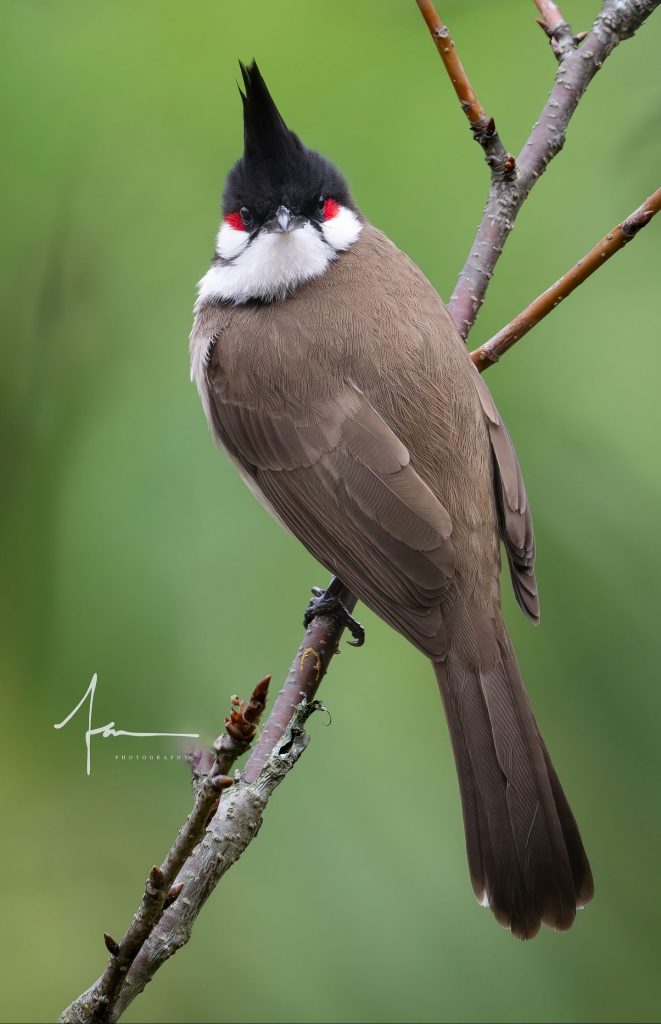 20250526121401499-1000044151