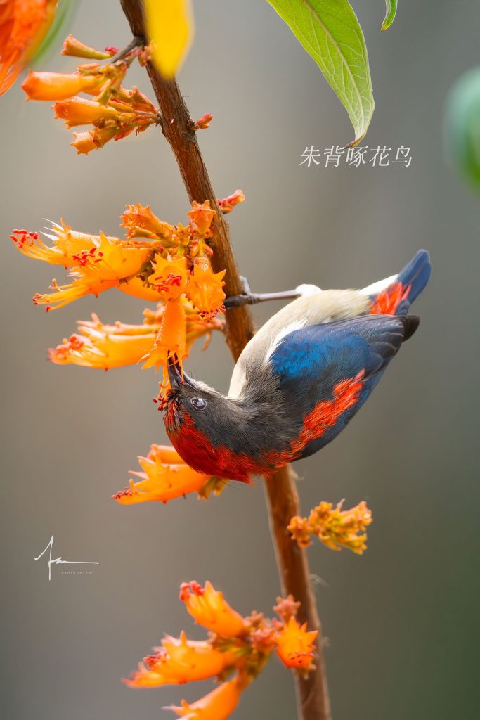 20250526121403704-1000044148