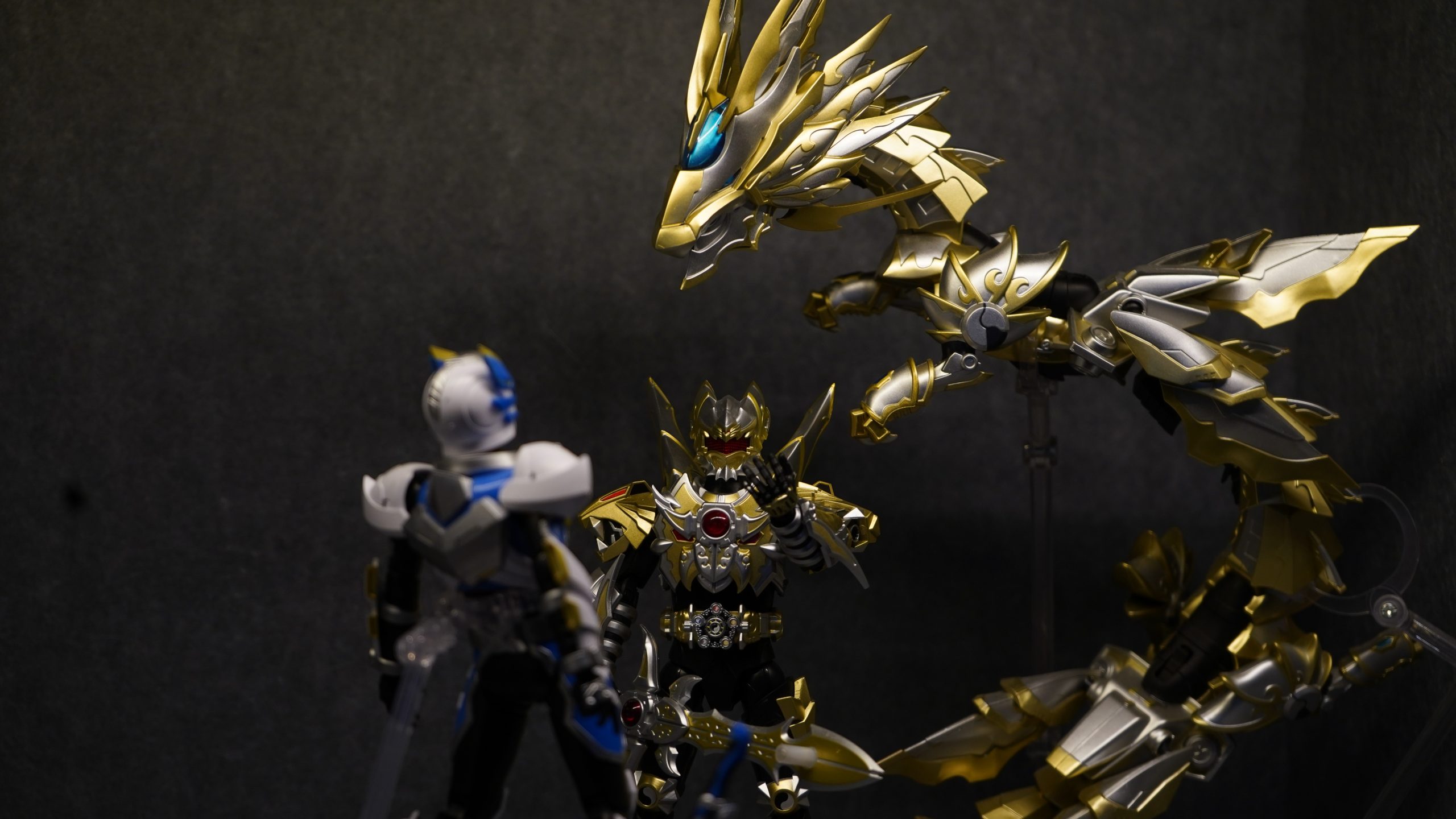 测试发布动态-猫匿