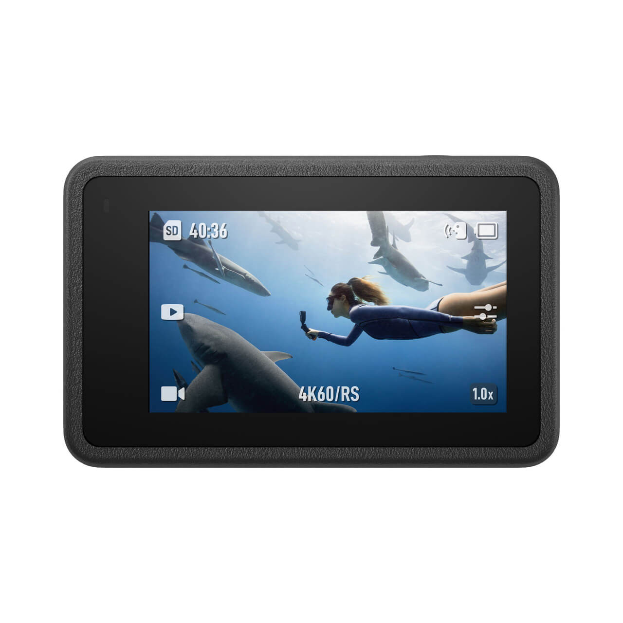 猫匿 - 用内容认识同频的人