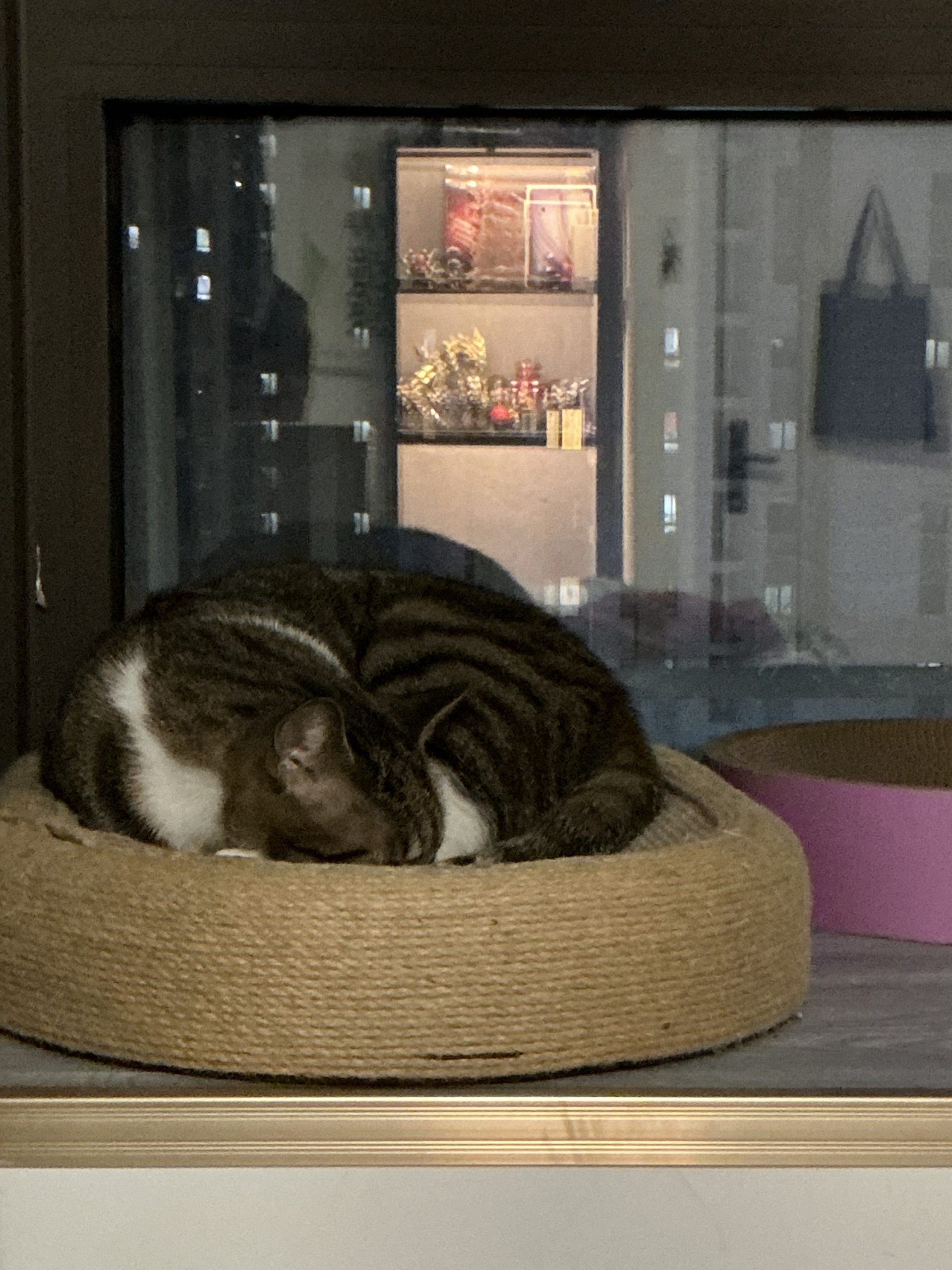 20251231022210753-IMG_20251230_220416