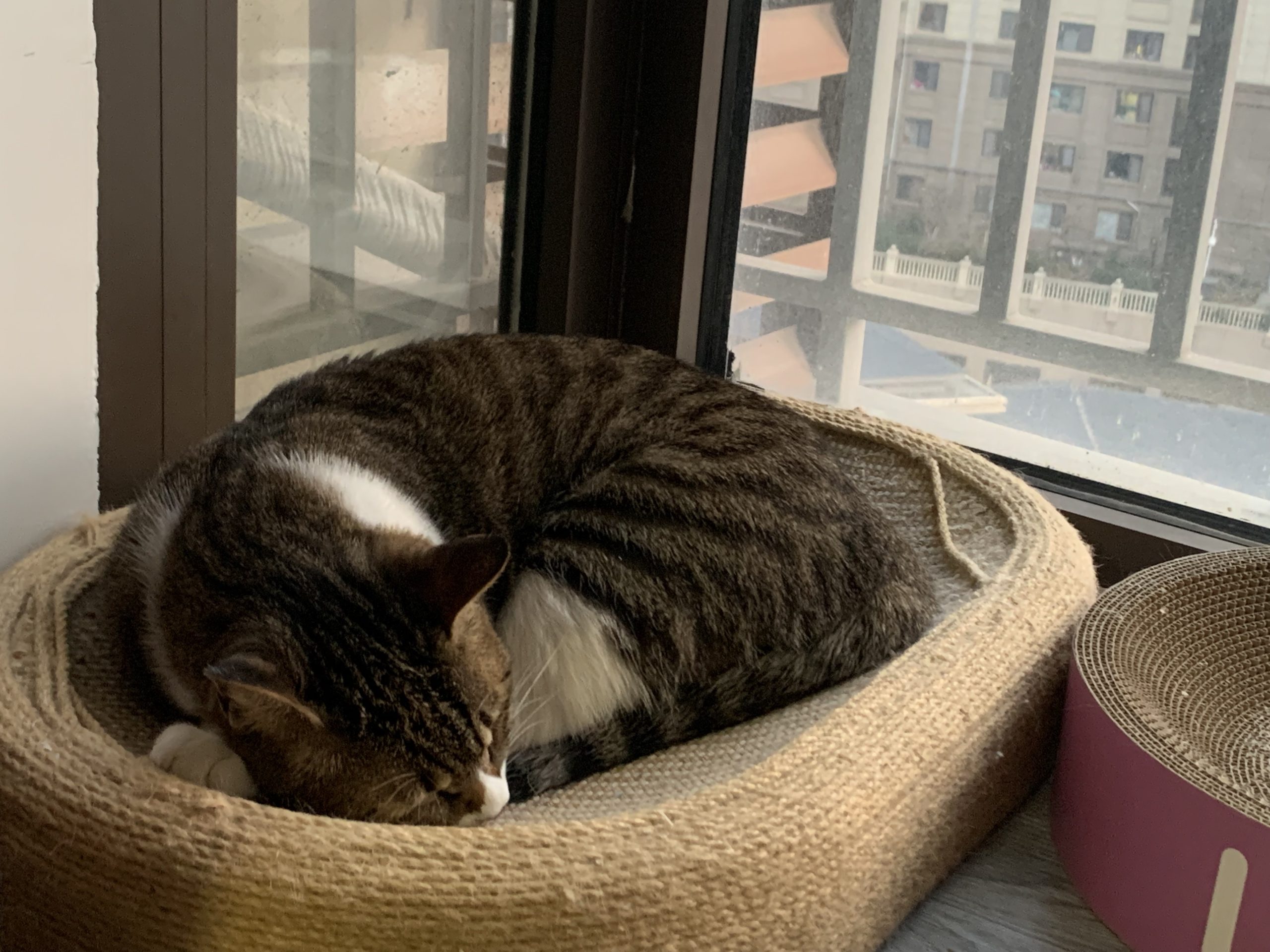 20251231022224168-Image_1766912492848